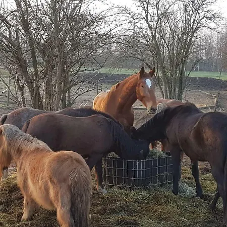 Mühlenberger Ponyhof Apartamento