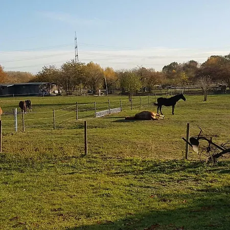 Muehlenberger Ponyhof Апартаменты *