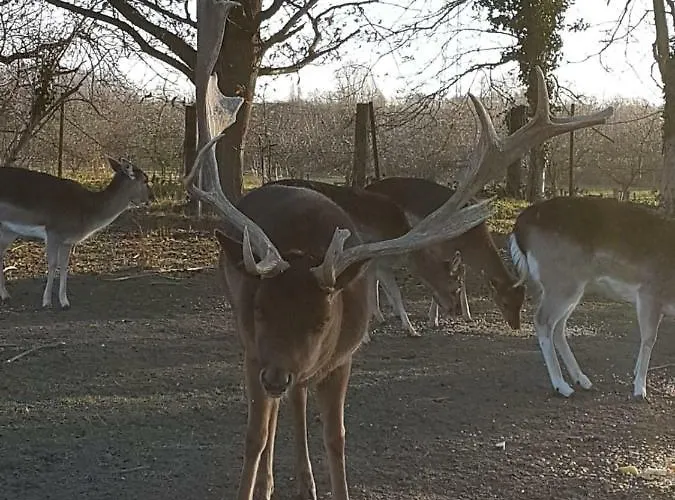 Appartement Muehlenberger Ponyhof