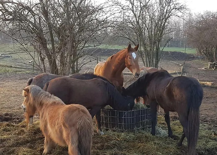 Muehlenberger Ponyhof Appartement